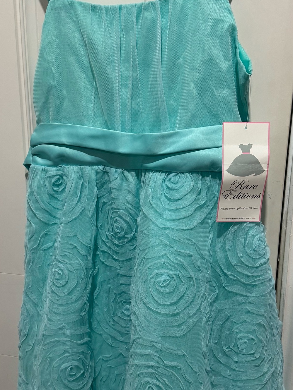 Rare Editions Aqua Rosette Satin Waist Formal Dress